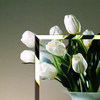 Clear Beveled
